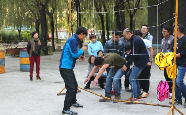 拓展训练项目穿越电网心得体会1000字