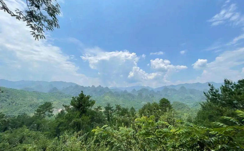 万山朝王风景