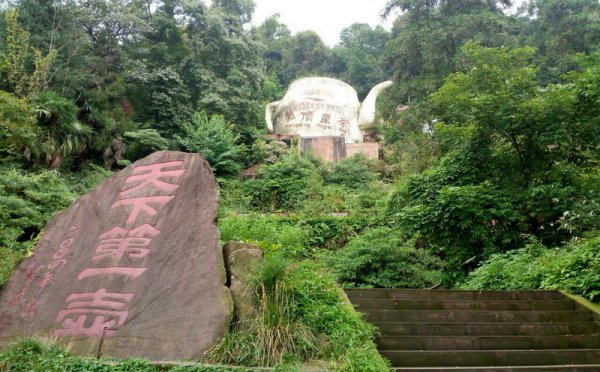 雅安蒙顶山团建拓展活动心得感悟