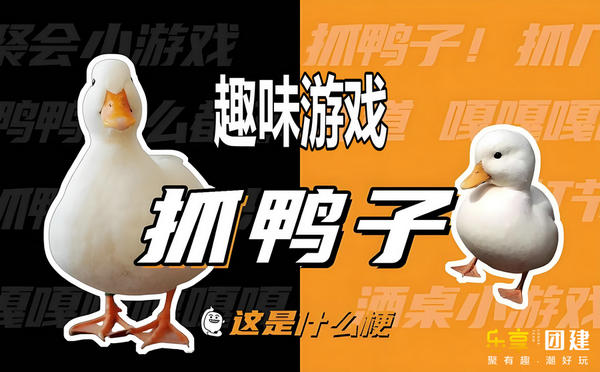 抓鸭子游戏怎么玩